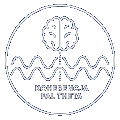 Koherencja fal Theta i TBR
